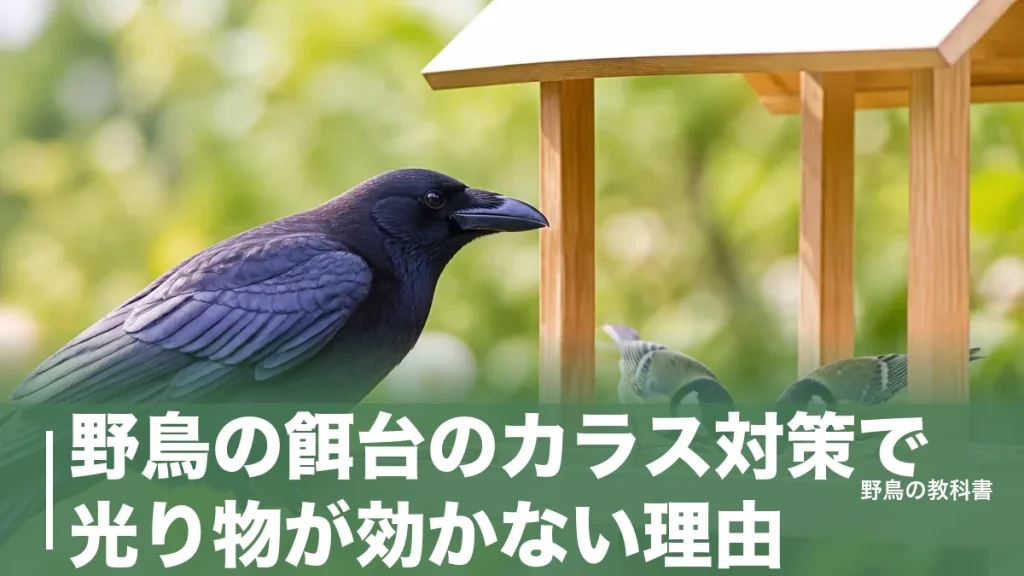 野鳥の餌台のカラス対策で光り物が効かない理由｜公的資料が示す物理的に防ぐ順番のアイキャッチ画像