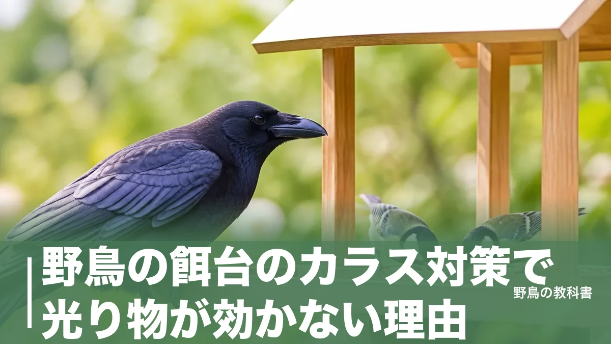 野鳥の餌台のカラス対策で光り物が効かない理由｜公的資料が示す物理的に防ぐ順番のアイキャッチ画像