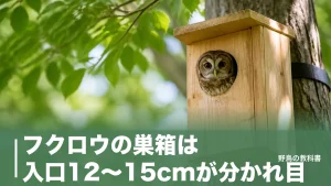 フクロウの巣箱は入口12〜15cmが分かれ目｜5〜10mの高さと森の条件を公的データで解説のアイキャッチ画像
