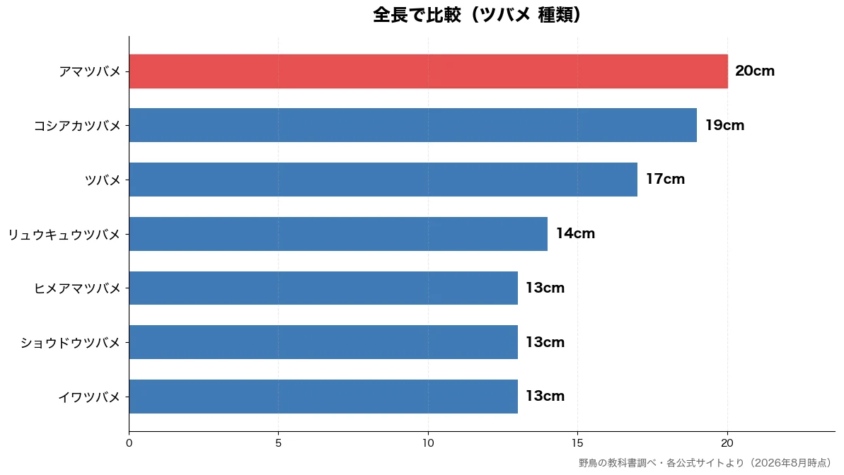 全長の比較チャート(イワツバメ 13cm・ショウドウツバメ 13cm・ヒメアマツバメ 13cm・リュウキュウツバメ 14cm)