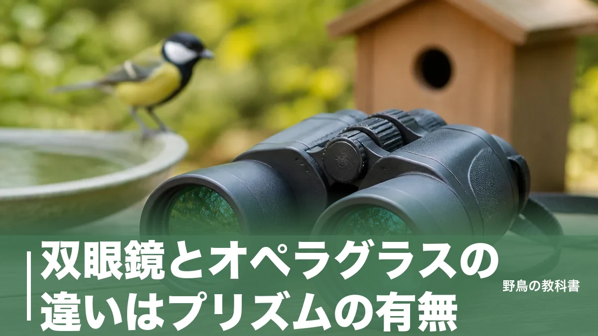双眼鏡とオペラグラスの違いはプリズムの有無｜4倍で止まる理由と野鳥向け8×30のアイキャッチ画像