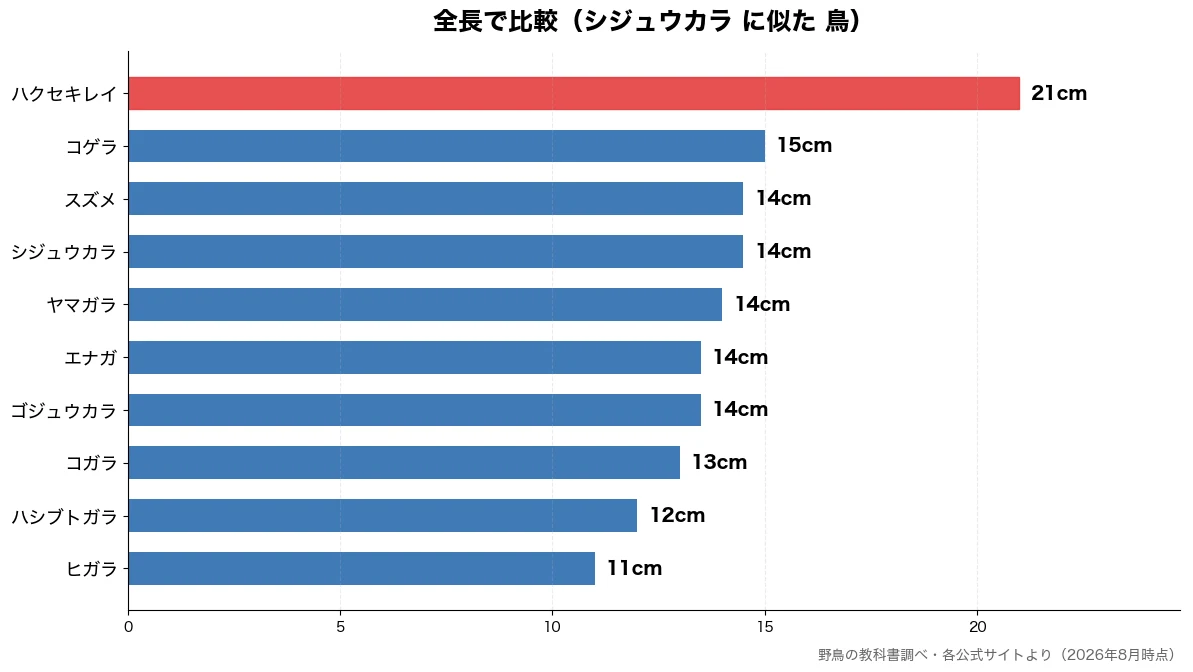 全長の比較チャート（ヒガラ 11cm・ハシブトガラ 12cm・コガラ 13cm・ゴジュウカラ 14cm）