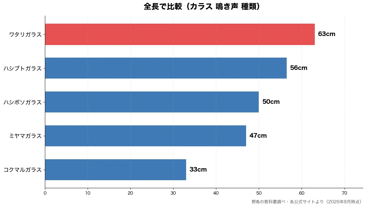全長の比較チャート(コクマルガラス 33cm・ミヤマガラス 47cm・ハシボソガラス 50cm・ハシブトガラス 56cm)