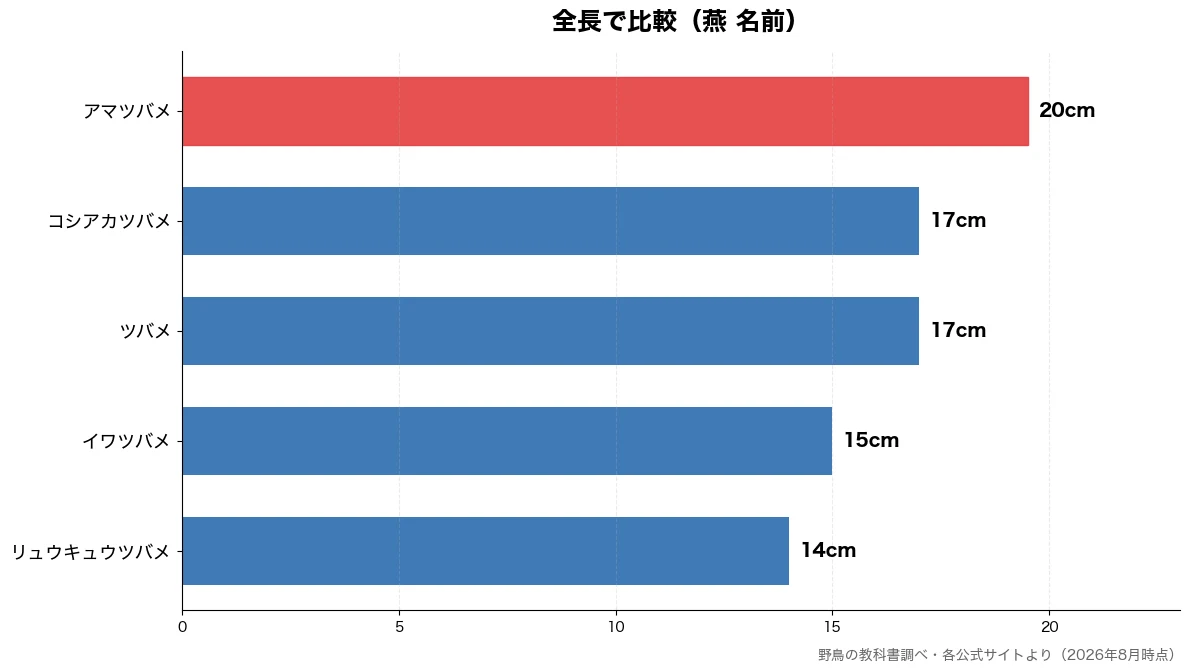 全長の比較チャート（リュウキュウツバメ 14cm・イワツバメ 15cm・ツバメ 17cm・コシアカツバメ 17cm）