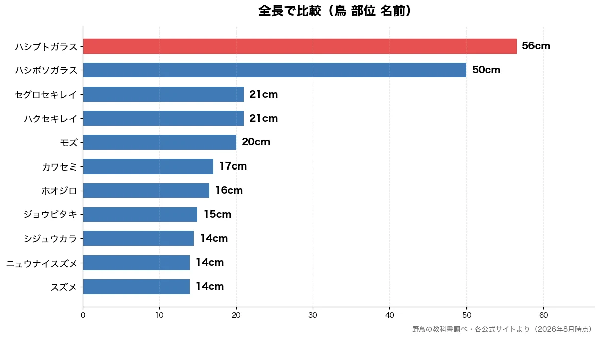 全長の比較チャート(スズメ 14cm・ニュウナイスズメ 14cm・シジュウカラ 14cm・ジョウビタキ 15cm)