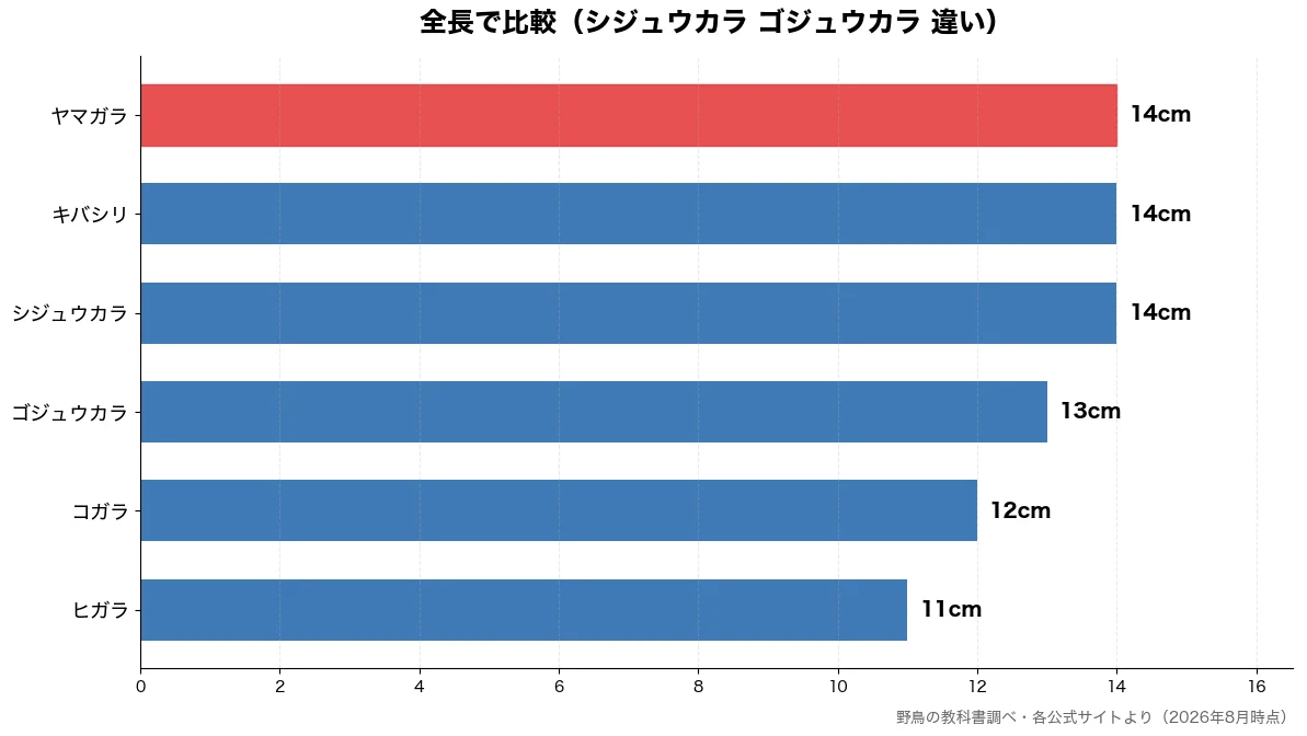 全長の比較チャート(ヒガラ 11cm・コガラ 12cm・ゴジュウカラ 13cm・シジュウカラ 14cm)