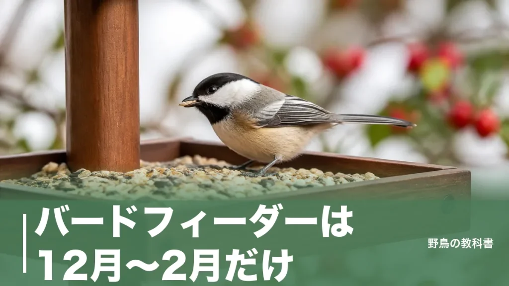 バードフィーダーは12月〜2月だけ？庭に野鳥を呼ぶ設置場所と餌・衛生管理の正解のアイキャッチ画像