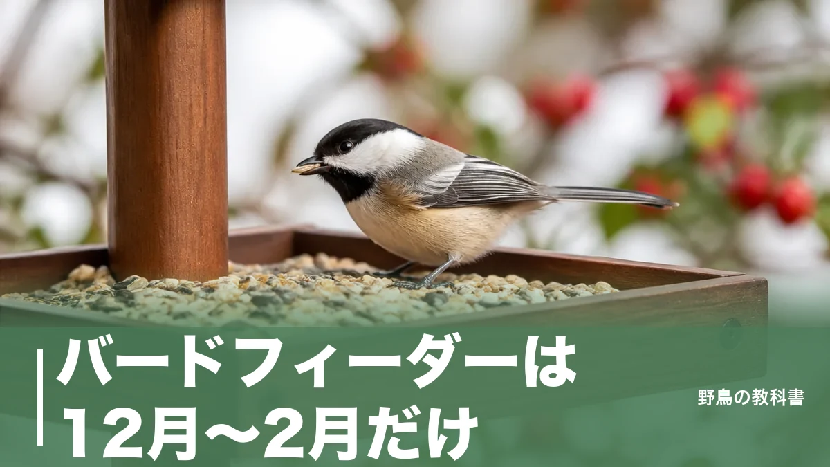 バードフィーダーは12月〜2月だけ?庭に野鳥を呼ぶ設置場所と餌・衛生管理の正解のアイキャッチ画像