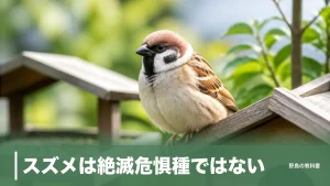 スズメは絶滅危惧種ではない｜年3.6％減が示す、リストに載らない鳥の危うさのアイキャッチ画像