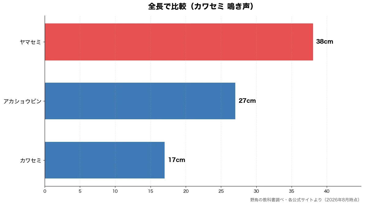 全長の比較チャート（カワセミ 17cm・アカショウビン 27cm・ヤマセミ 38cm）
