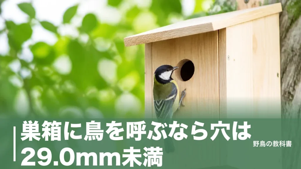 巣箱に鳥を呼ぶなら穴は29.0mm未満｜1392個の調査でわかった分かれ目のアイキャッチ画像