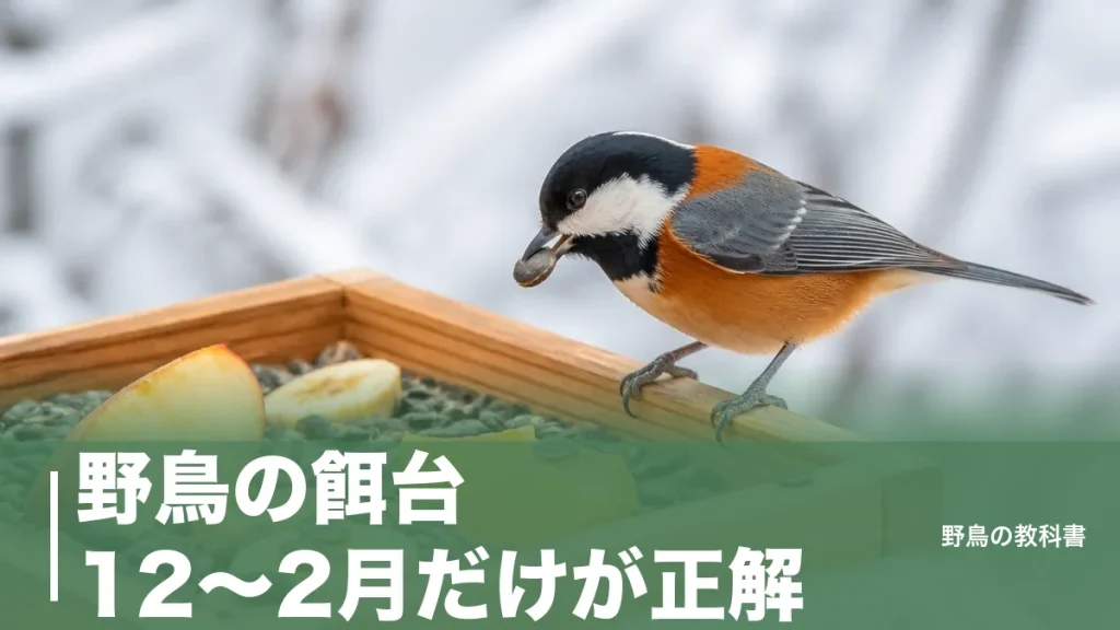 野鳥の餌台、12〜2月だけが正解？来る鳥が変わる高さ・置き場所と餌の選び方のアイキャッチ画像