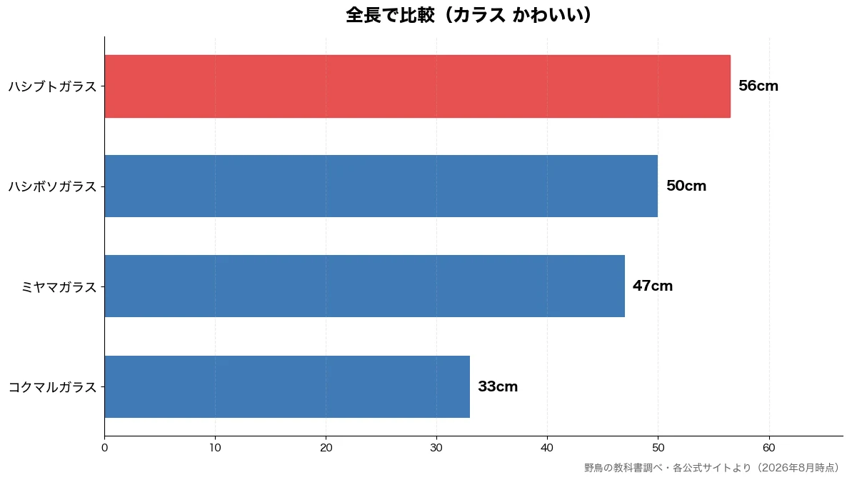 全長の比較チャート（コクマルガラス 33cm・ミヤマガラス 47cm・ハシボソガラス 50cm・ハシブトガラス 56cm）