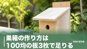 巣箱の作り方は100均の板3枚で足りる｜穴の直径2.8cmが成否を分ける理由のアイキャッチ画像