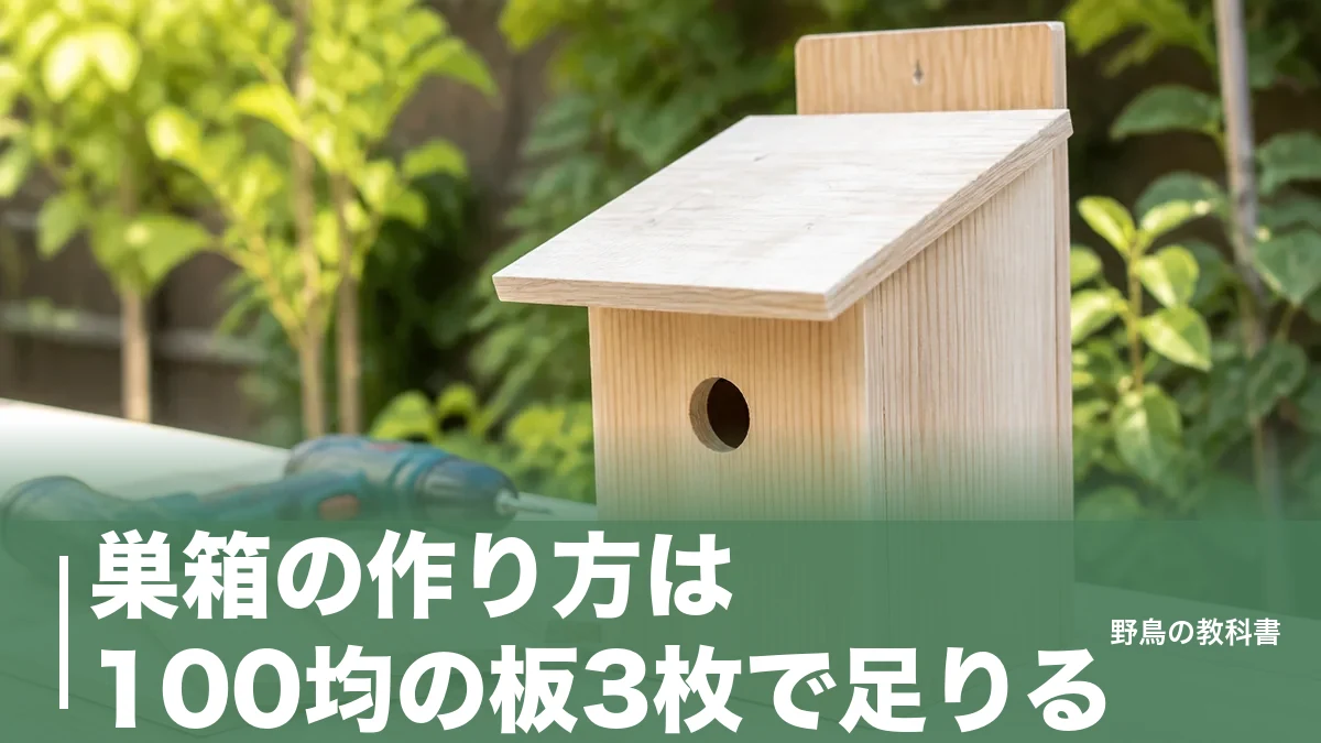 巣箱の作り方は100均の板3枚で足りる｜穴の直径2.8cmが成否を分ける理由のアイキャッチ画像