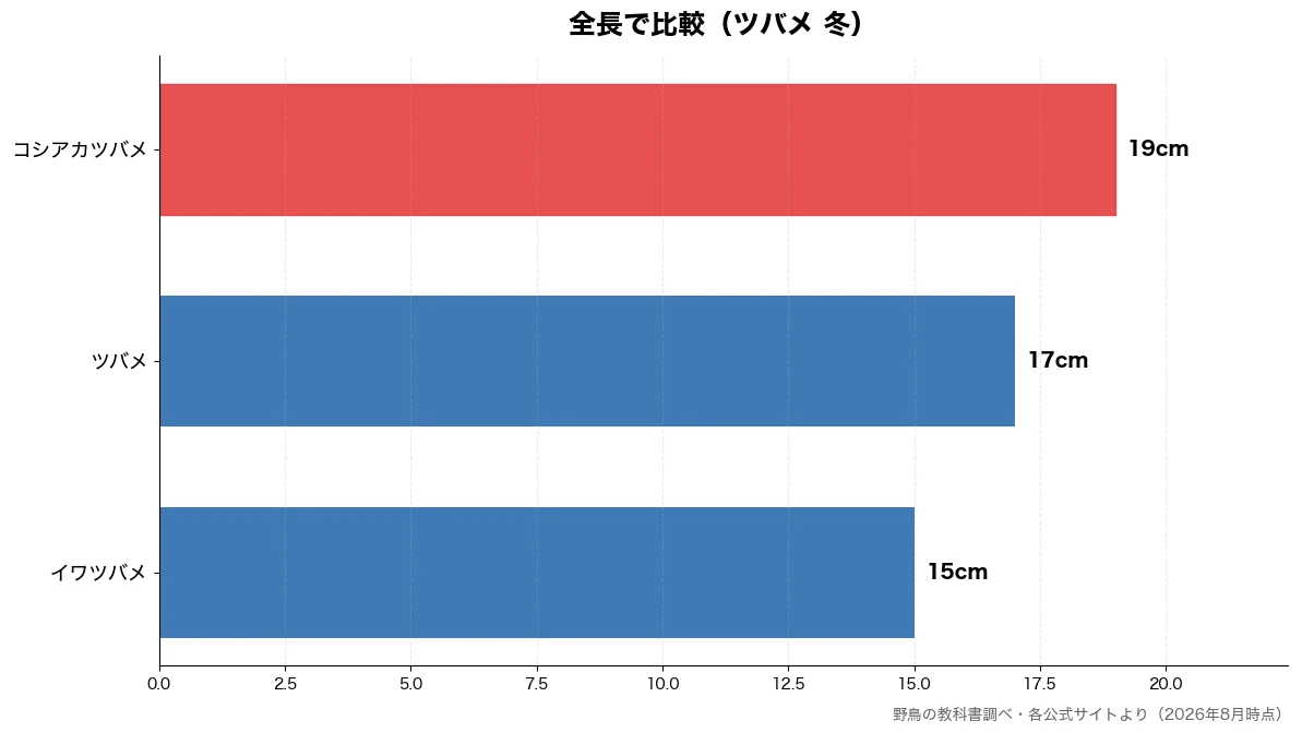 全長の比較チャート（イワツバメ 15cm・ツバメ 17cm・コシアカツバメ 19cm）