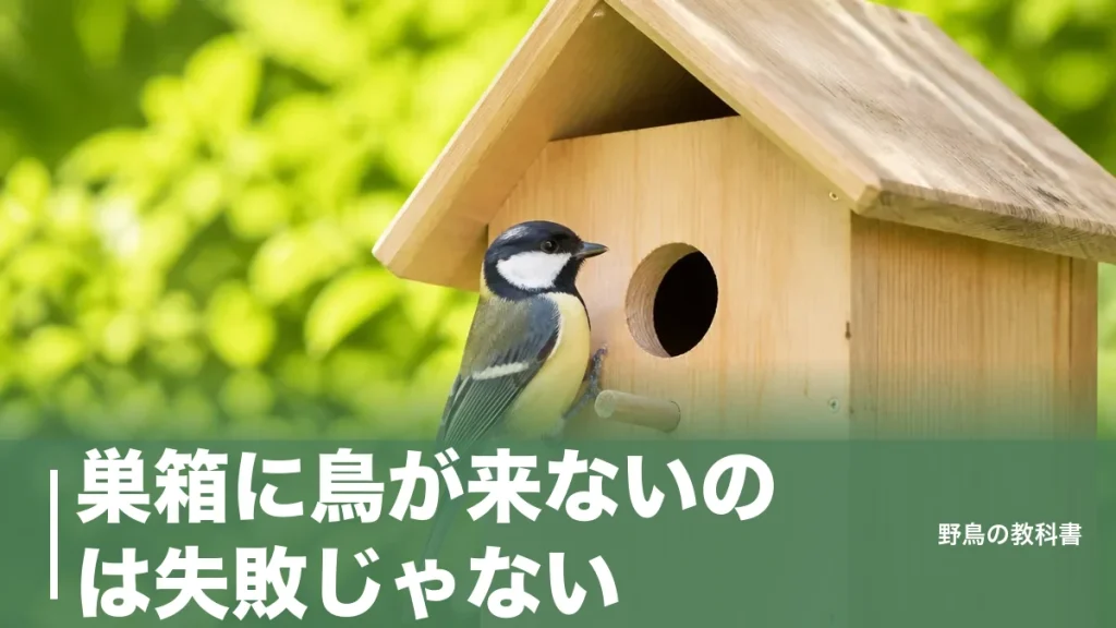 巣箱に鳥が来ないのは失敗じゃない｜2,276個の調査でわかった不使用は11.7%のアイキャッチ画像