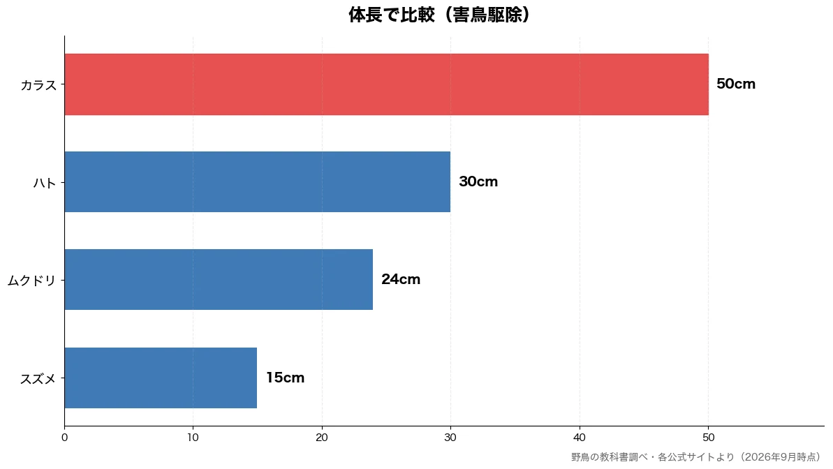 体長の比較チャート（スズメ 15cm・ムクドリ 24cm・ハト 30cm・カラス 50cm）