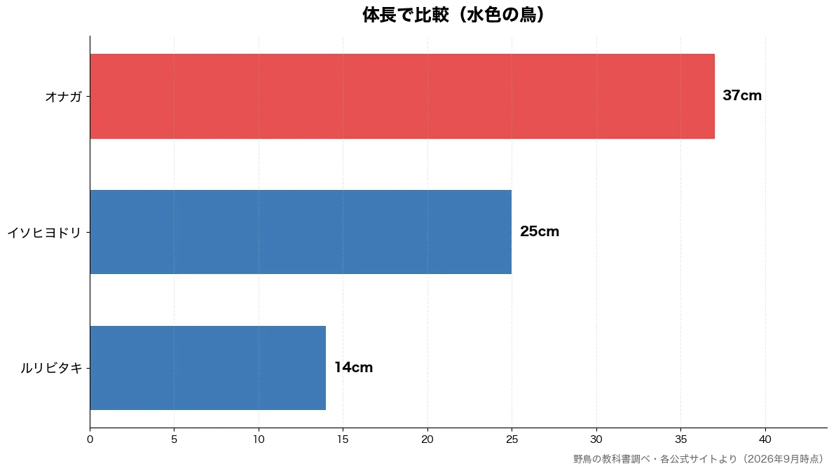 体長の比較チャート（ルリビタキ 14cm・イソヒヨドリ 25cm・オナガ 37cm）