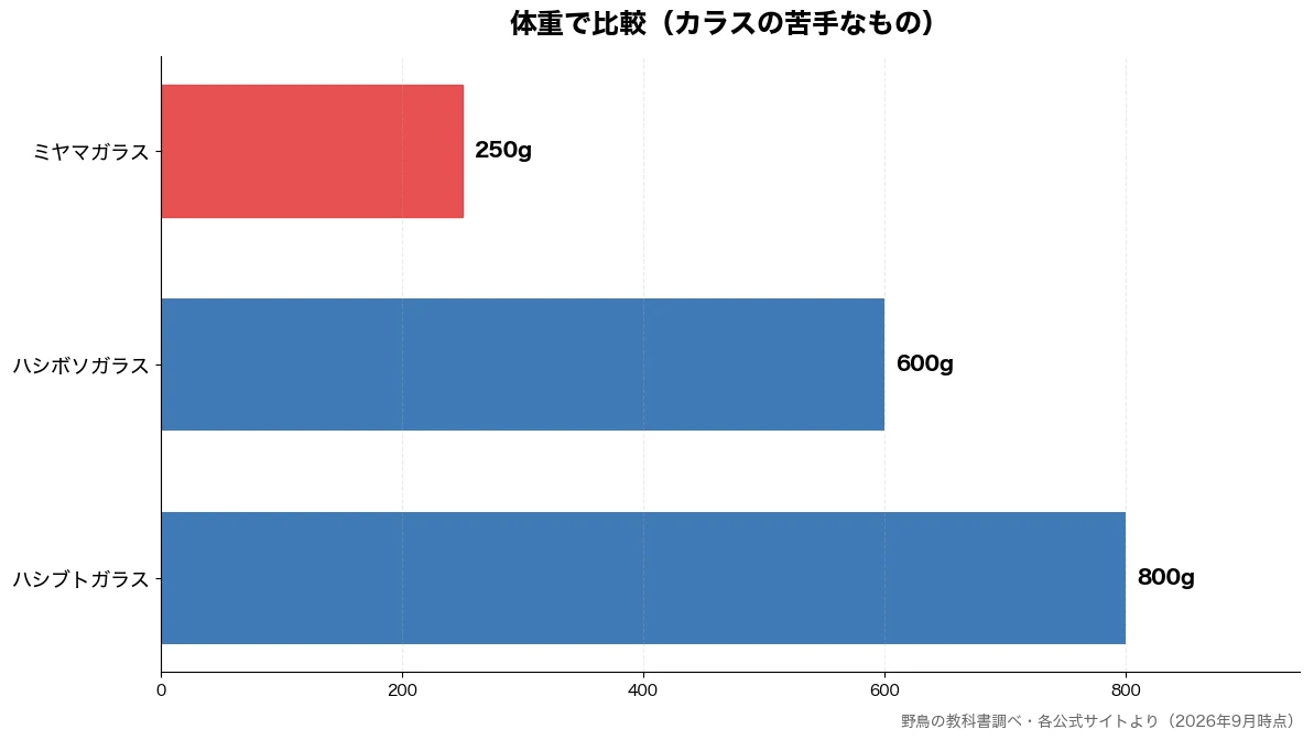 体重の比較チャート（ミヤマガラス 250g・ハシボソガラス 600g・ハシブトガラス 800g）