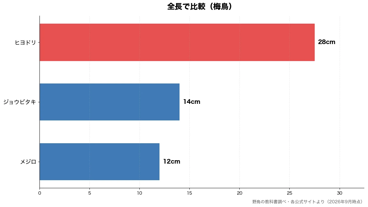全長の比較チャート（メジロ 12cm・ジョウビタキ 14cm・ヒヨドリ 28cm）