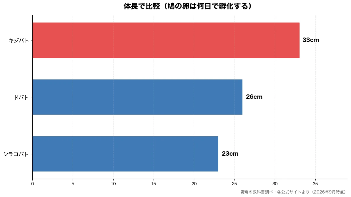 体長の比較チャート(シラコバト 23cm・ドバト 26cm・キジバト 33cm)