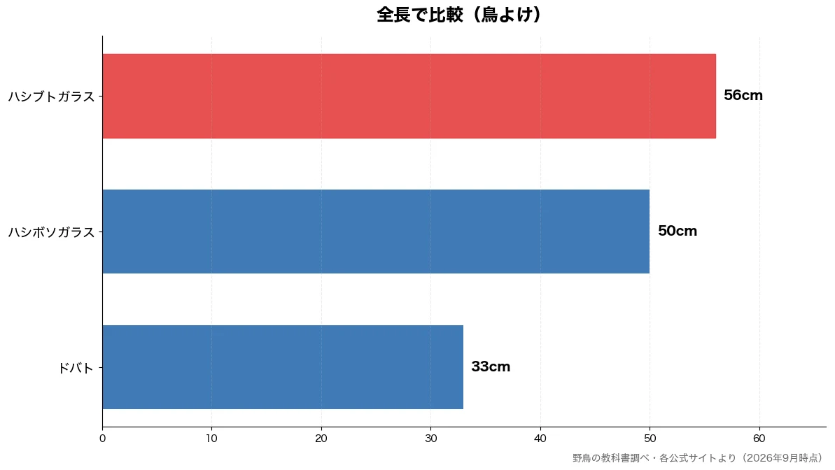 全長の比較チャート(ドバト 33cm・ハシボソガラス 50cm・ハシブトガラス 56cm)