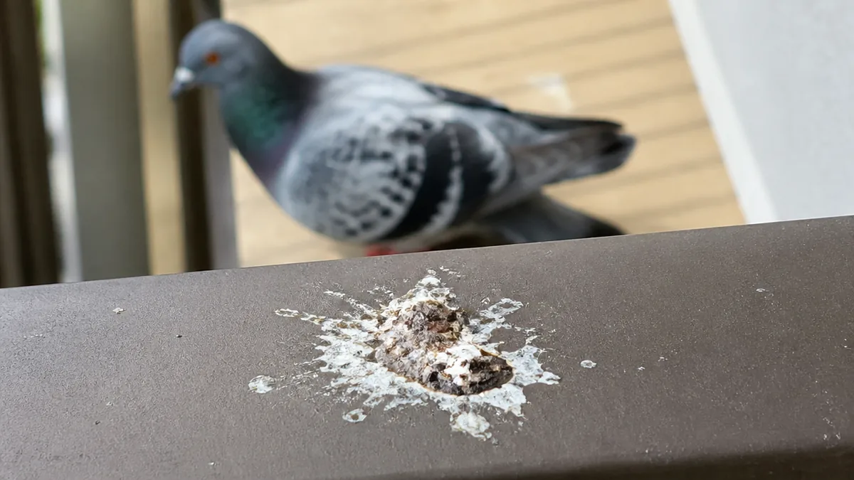 心配される3つの病気と、正しく怖がるための目安の解説画像