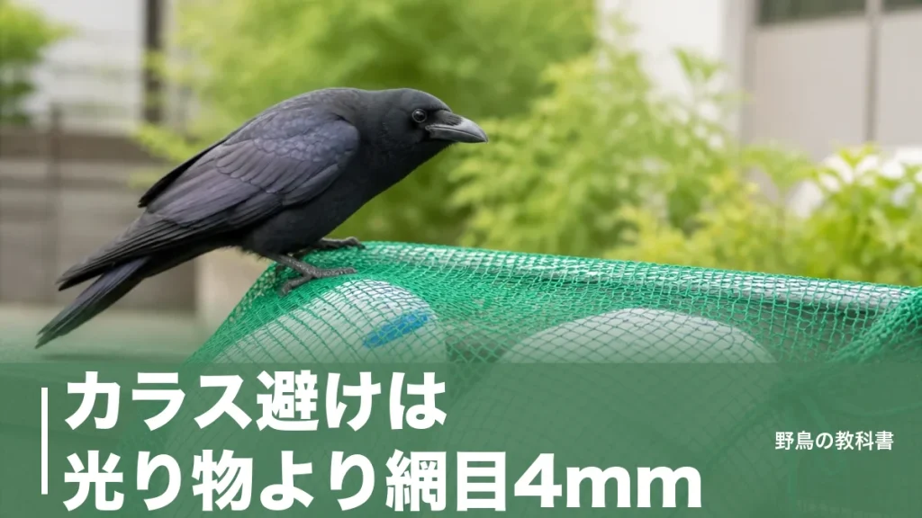 カラス避けは光り物より網目4mm｜2〜3週間で慣れる鳥に効く対策の順番のアイキャッチ画像