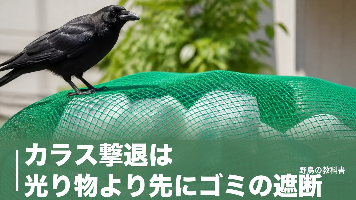 カラス撃退は光り物より先にゴミの遮断｜環境省が示す順番と網目5mmのネットのアイキャッチ画像