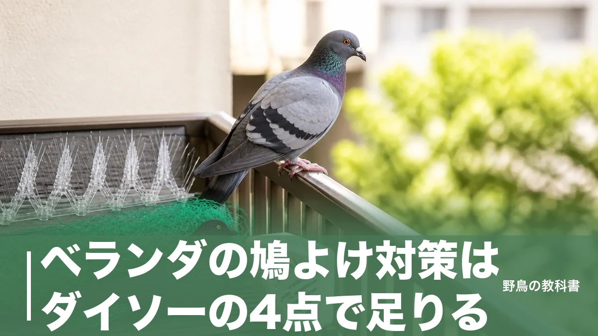 ベランダの鳩よけ対策はダイソーの4点で足りる｜110円で止まるのは飛来3回までのアイキャッチ画像