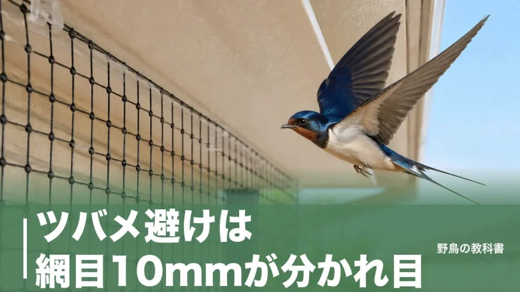 ツバメ避けは網目10mmが分かれ目｜45mm目の防鳥網では通り抜けられる理由のアイキャッチ画像
