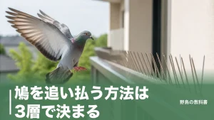 鳩を追い払う方法は3層で決まる｜超音波が効かない理由と巣を作られる前の勝負どころのアイキャッチ画像