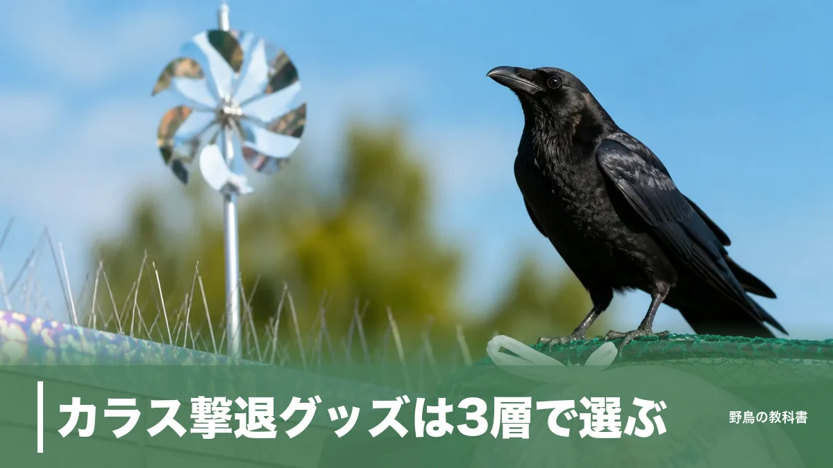 カラス撃退グッズは3層で選ぶ｜光り物が数日で効かなくなる理由と触れさせない対策のアイキャッチ画像