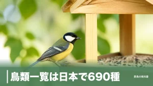 鳥類一覧は日本で690種｜24目83科を目→科の順にたどる見分け方の地図のアイキャッチ画像