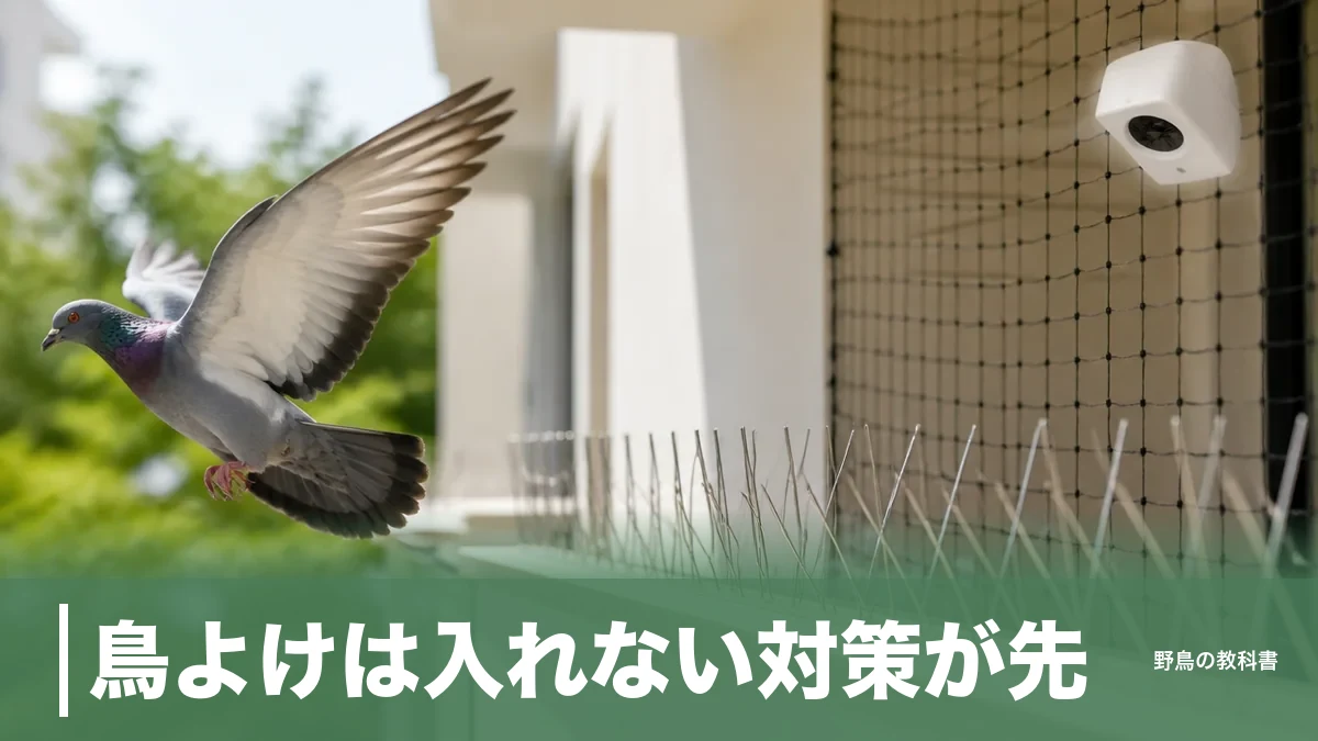鳥よけは入れない対策が先｜超音波は1ヶ月で効果10〜20%に落ちることものアイキャッチ画像