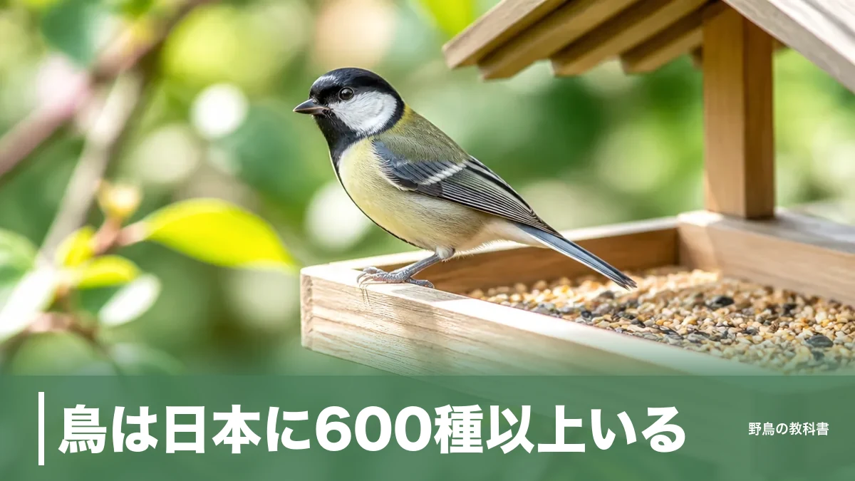 鳥は日本に600種以上いる｜まず身近な鳥から覚える見分け方と庭に呼ぶ4つの方法のアイキャッチ画像