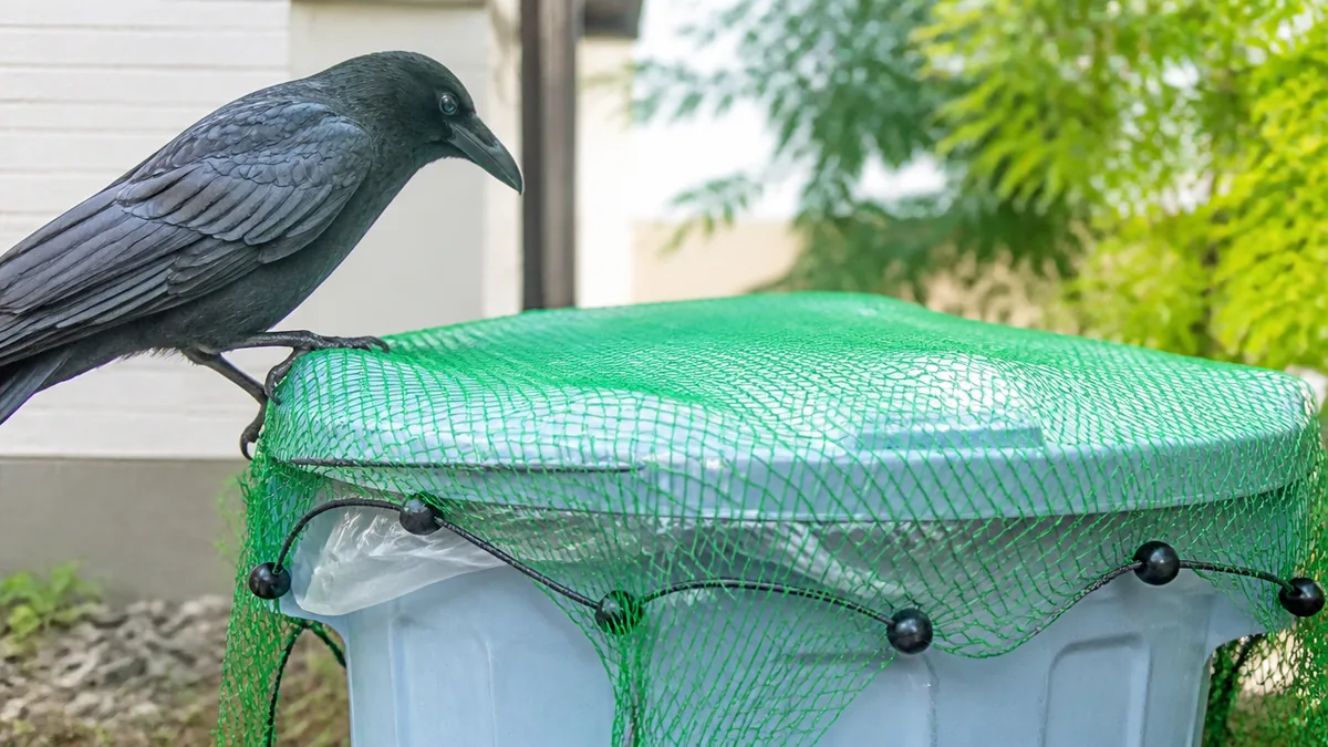 カラス撃退で最初にやるべきは、追い払うことではありませんの解説画像